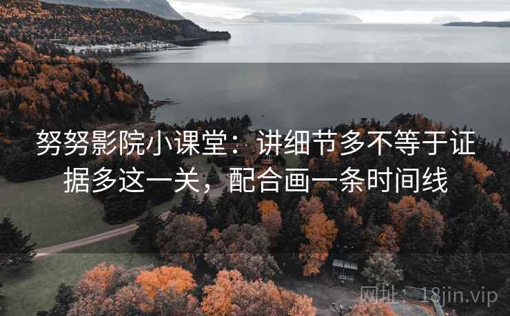 努努影院小课堂：讲细节多不等于证据多这一关，配合画一条时间线